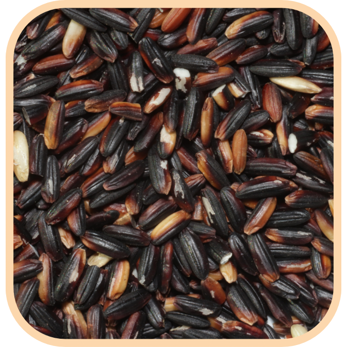 (image for) Rice - Black Glutinous