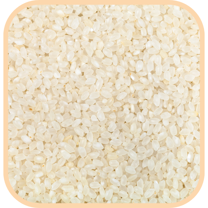 (image for) Rice - Short Grain White