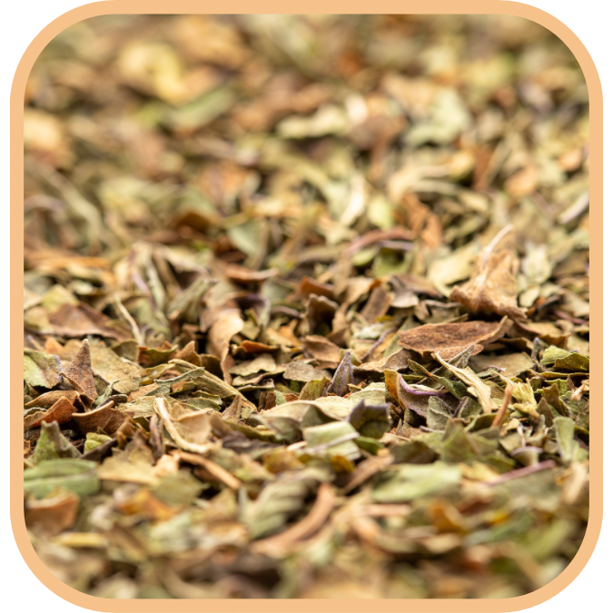 (image for) Peppermint Tea