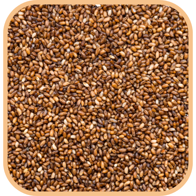 (image for) Teff