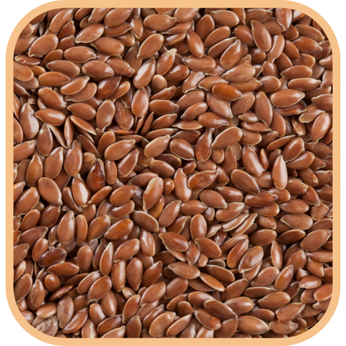 (image for) Linseed