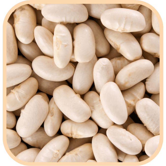(image for) Cannellini Beans