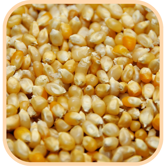 (image for) Popcorn