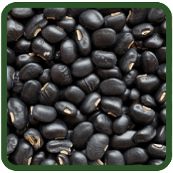 (image for) Black Beans
