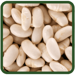 (image for) Cannellini Beans
