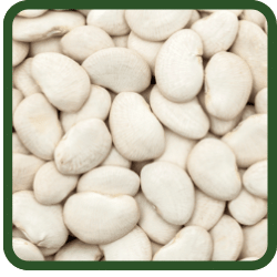 (image for) Lima Beans