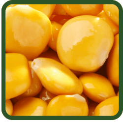 (image for) Lupini Beans (Small Size)