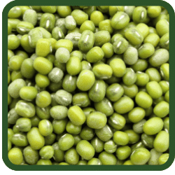 (image for) Mung Beans