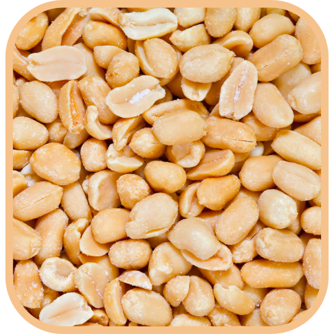 Peanuts Dry Roasted