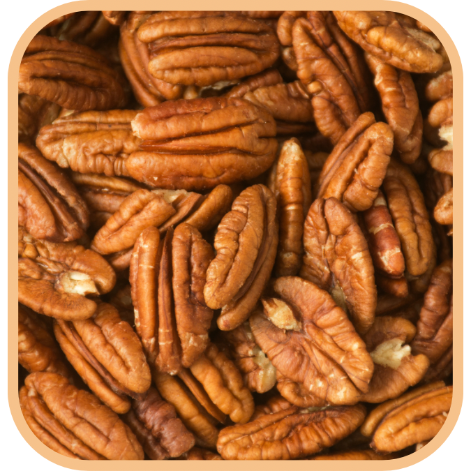 (image for) Pecan Kernels - Click Image to Close