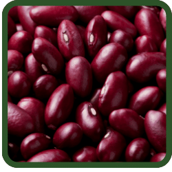 (image for) Red Kidney Beans - Small