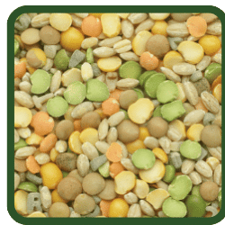(image for) Soup Mix
