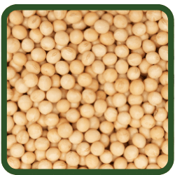 (image for) Soya Beans