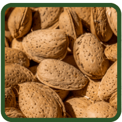 (image for) Almonds - In Shell