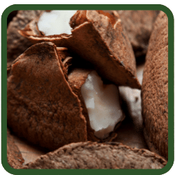 (image for) Brazil Nuts - In Shell
