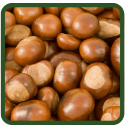 (image for) Chestnuts - Raw Dried