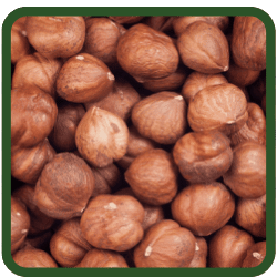 (image for) Hazelnuts - Raw
