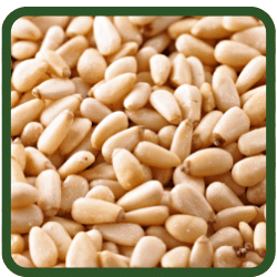 (image for) Pine Nuts - Raw