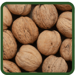 (image for) Walnuts - In Shell