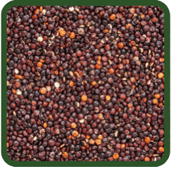 (image for) Quinoa - Organic Black
