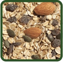 (image for) Raw Muesli - Seed and Fruit