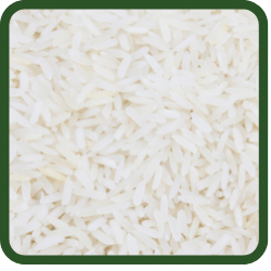 (image for) Rice - Jasmine