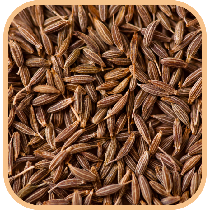 (image for) Cumin - Seeds
