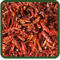(image for) Chilli - Whole