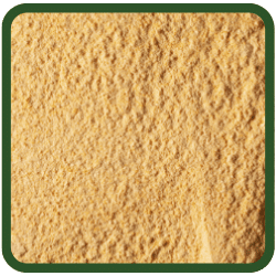 (image for) Mustard - Powder