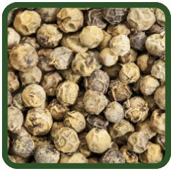 (image for) Peppercorns - Green