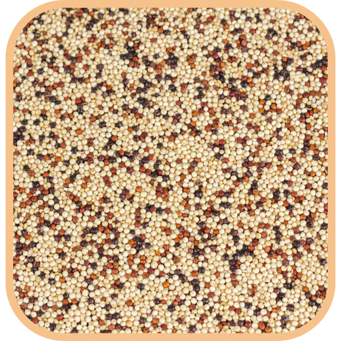 (image for) Andean Grain Mix - Organic
