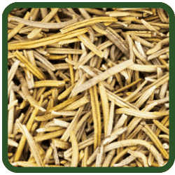 (image for) Rosemary - Dried