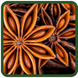 (image for) Star Anise