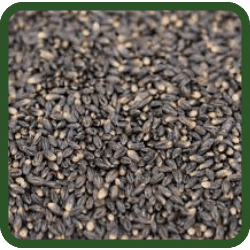 (image for) Barley - Black