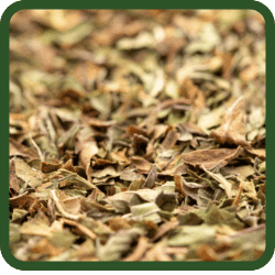 (image for) Peppermint Tea