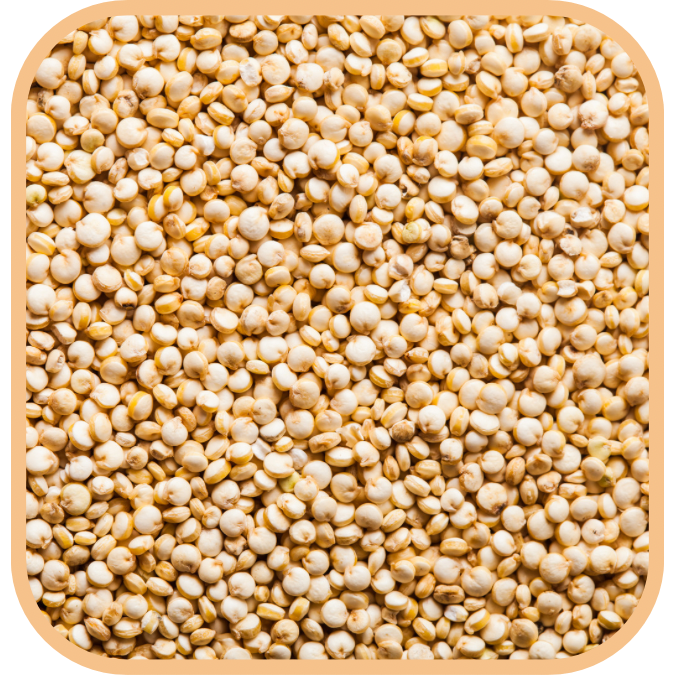 (image for) Quinoa - Organic