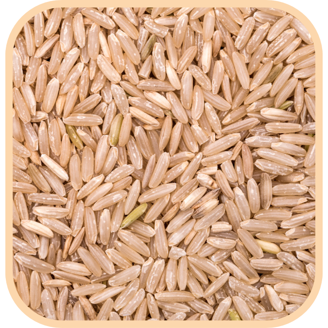 Rice - Long Brown