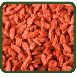 (image for) Goji Berries 'Wolf Berries' - Click Image to Close