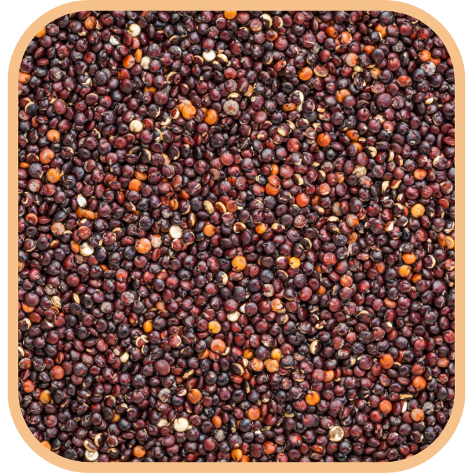 (image for) Quinoa - Organic Black