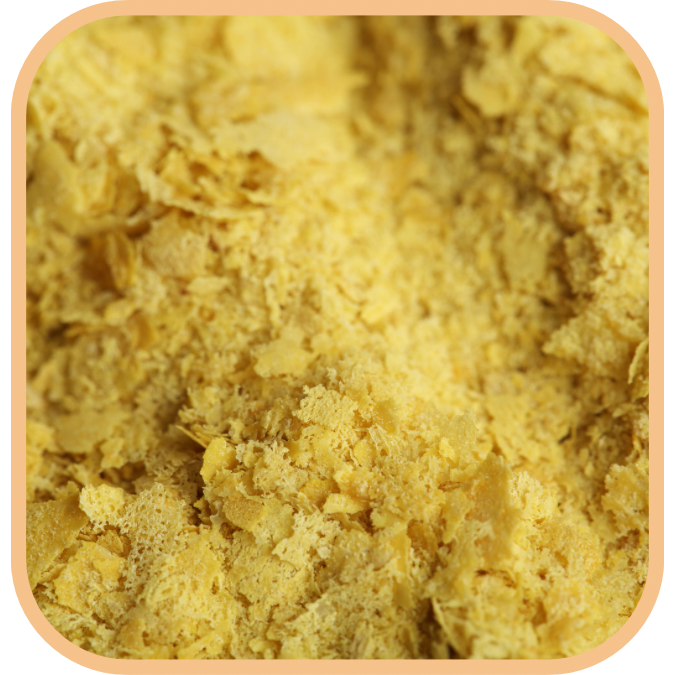 (image for) Nutritional Yeast Flakes Raw