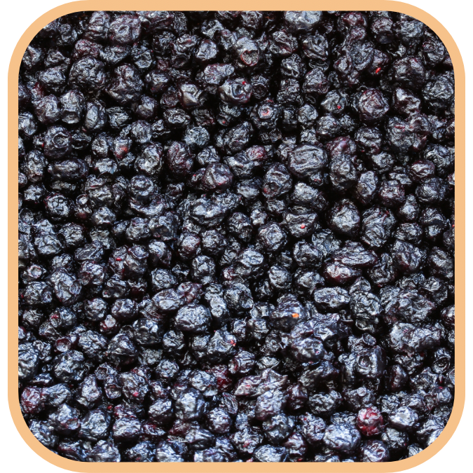 (image for) Blueberries - Dried