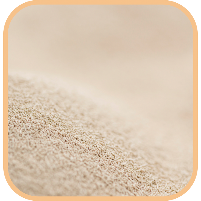 (image for) Brewers Yeast