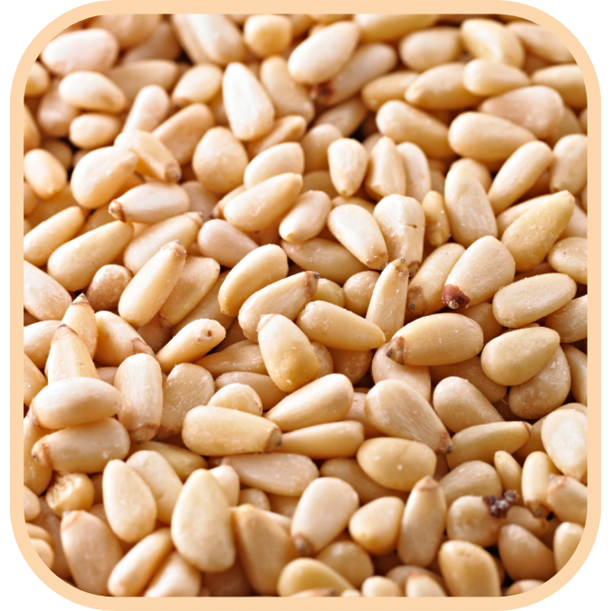 (image for) Pine Nuts - Raw - Click Image to Close