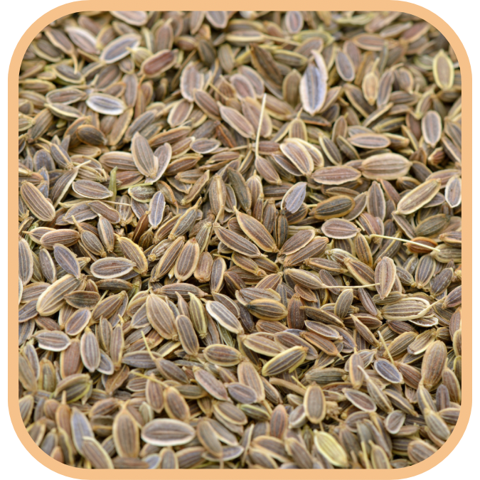 (image for) Dill Seed