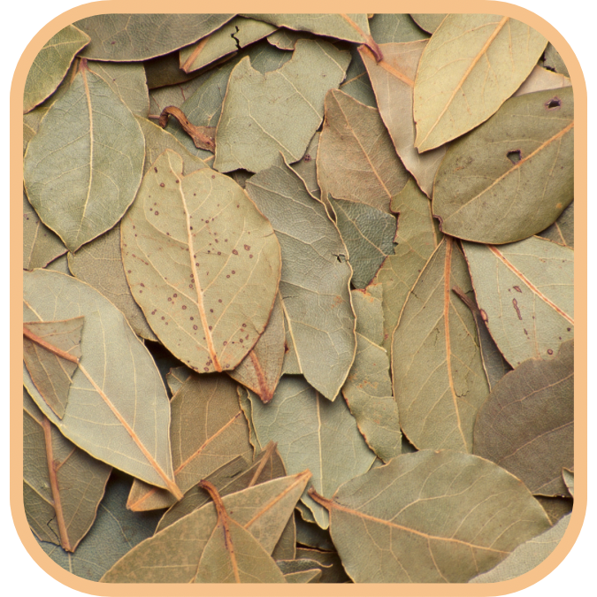 (image for) Bay Leaves - Dried