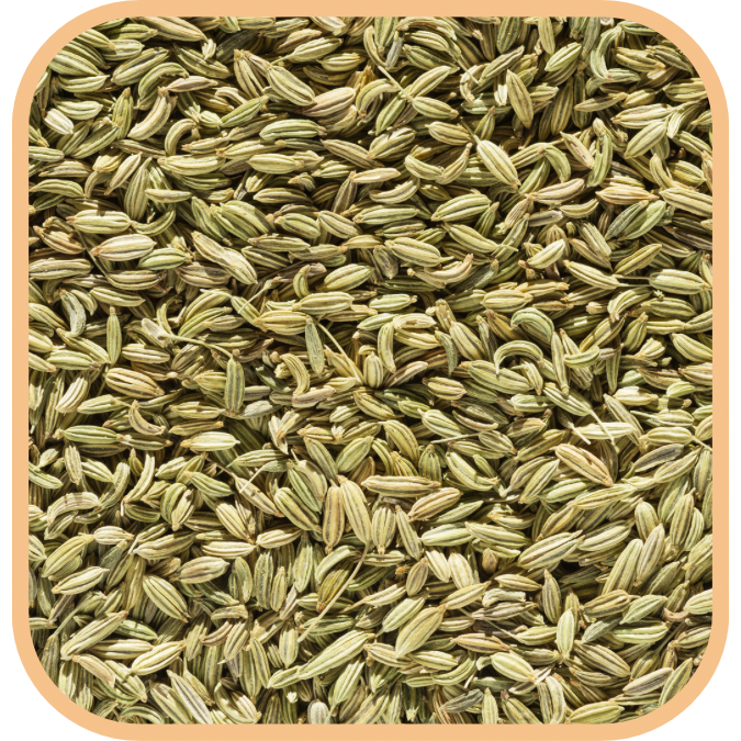 Fennel - Seeds