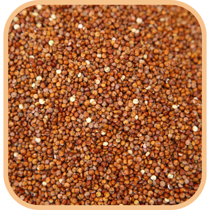 (image for) Quinoa - Organic Red