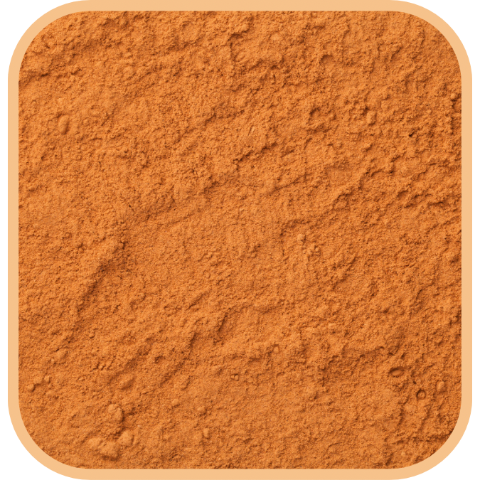 Cinnamon - Powder (Ceylon)