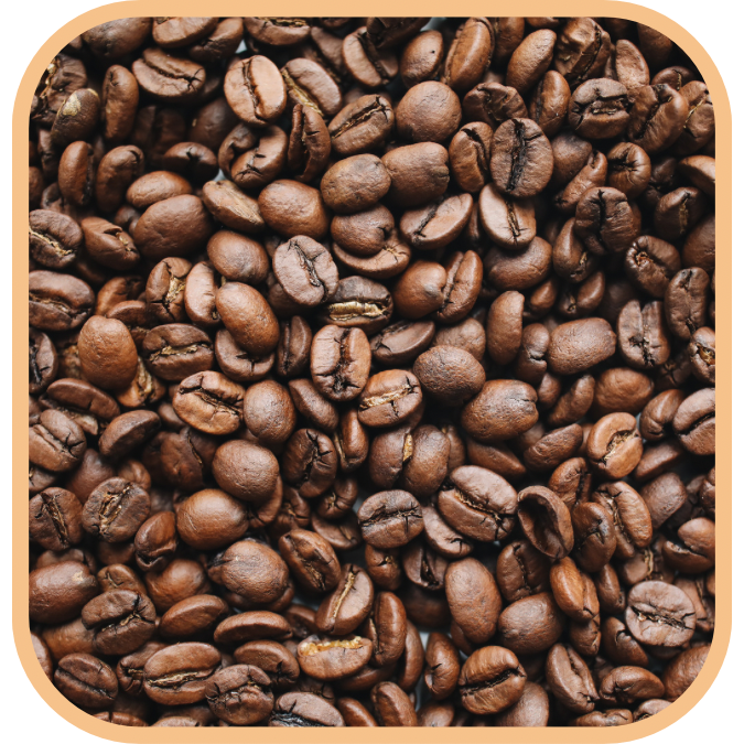 Organic Indo Gayo Coffee Beans