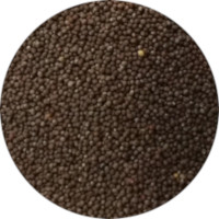 Mustard Seeds - Black